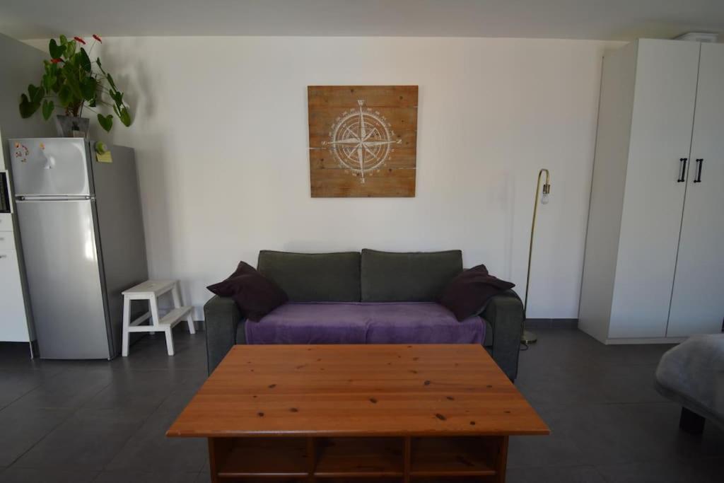 Grand Studio Independant Avec Jardin Goussainville  Exterior foto